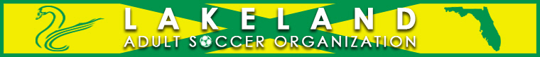 Lakeland Adult Soccer League banner